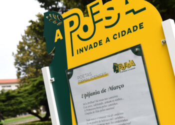 Candidaturas para o “Programar em Rede” até ao fim do mês