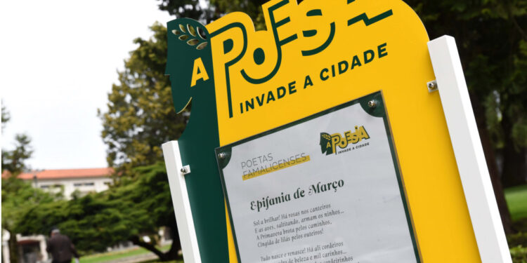 Candidaturas para o “Programar em Rede” até ao fim do mês