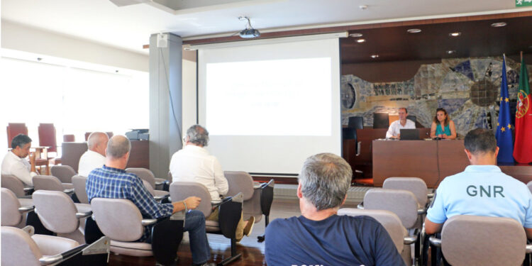 Vila Verde ativa Plano Municipal de Emergência e Proteção Civil