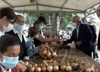 Cebola vai atrair Gondifelos