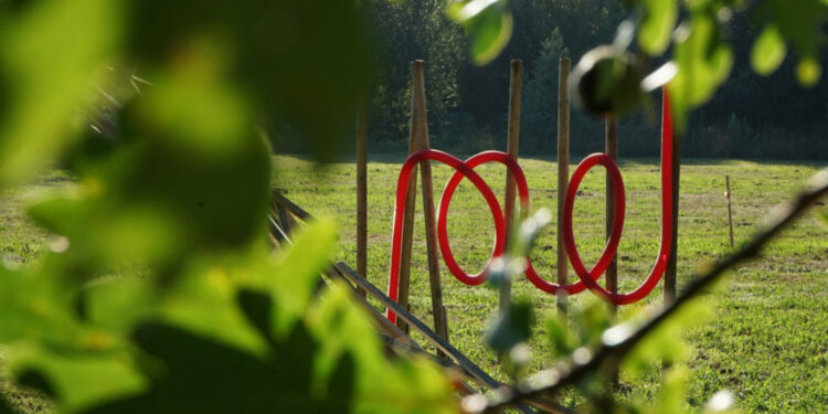 IL Famalicão antecipa ano lectivo 2022-23