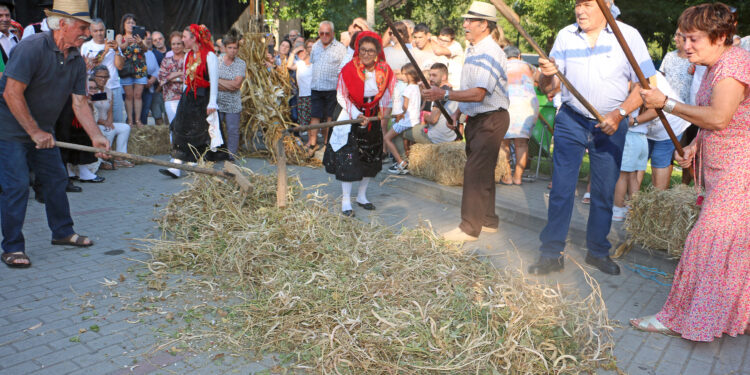 Vila Verde: Malhada de feijão na Loureira