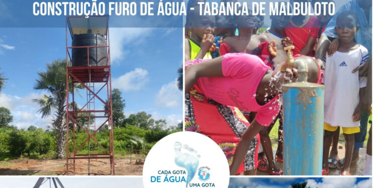 HumantiAVE conclui trabalhos em Malbuloto