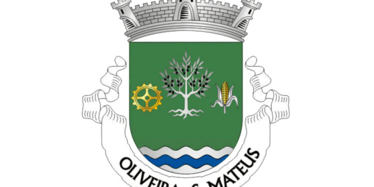 Cidadã de Oliveira São Mateus comemorou 100 anos