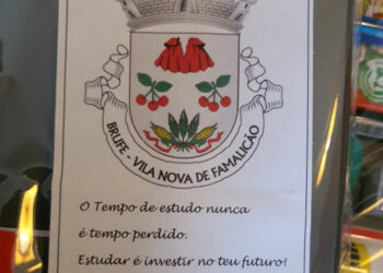 Brufe: «Apostar na formação é um bom investimento»