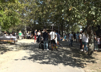 PSD promove piquenique com militantes