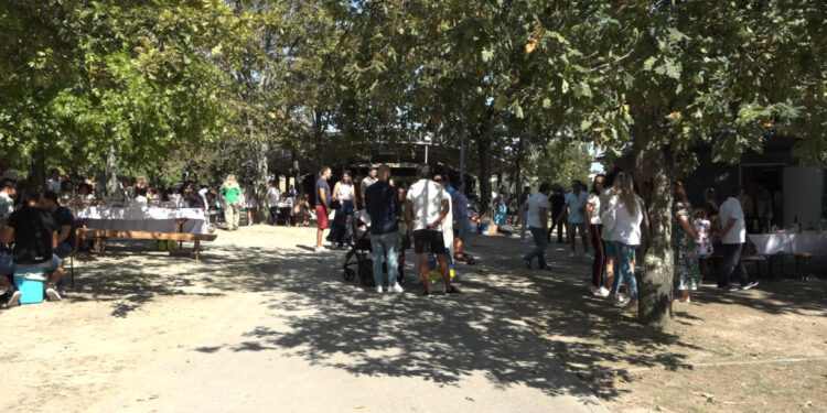 PSD promove piquenique com militantes