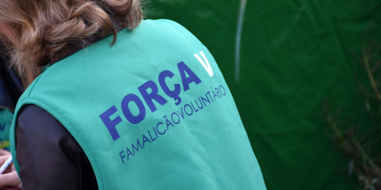 Voluntariado famalicense organiza piquenique