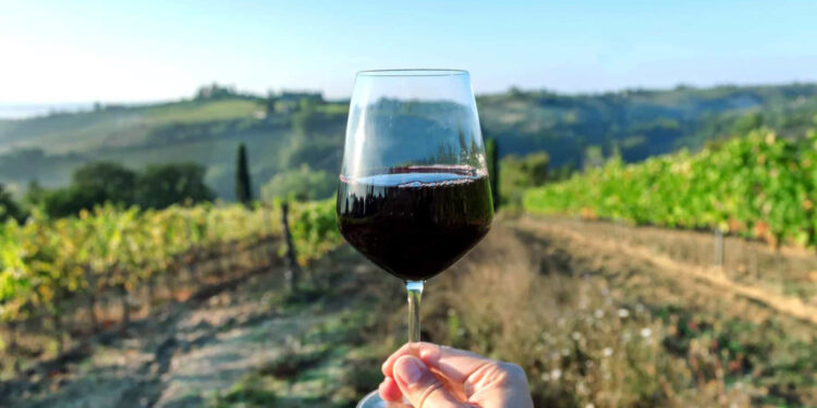 Produtores em risco de falência