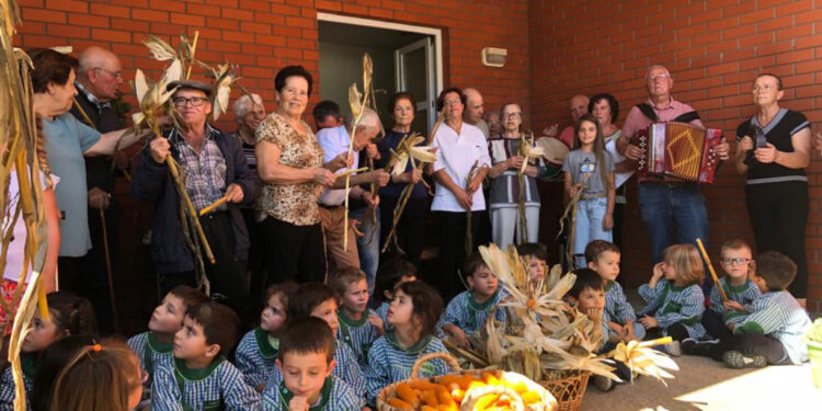 Engenho organiza desfolhadas para utentes