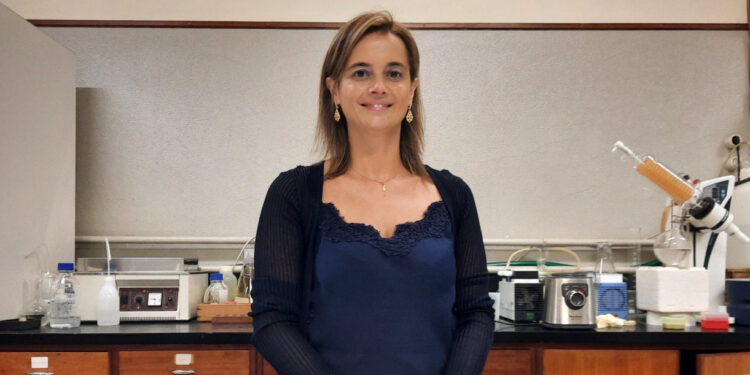 Coimbra: Refeições alternativas com macroalgas