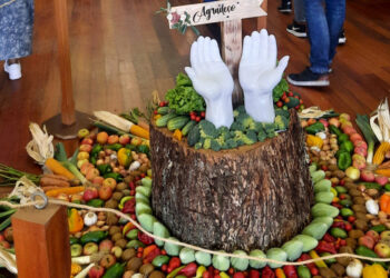 Vila Verde: Produtos da terra embelezam Escariz S. Martinho