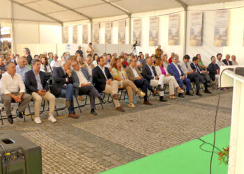 Vila Verde concelho rural atrativo