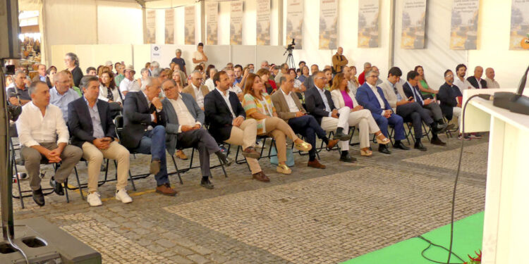 Vila Verde concelho rural atrativo