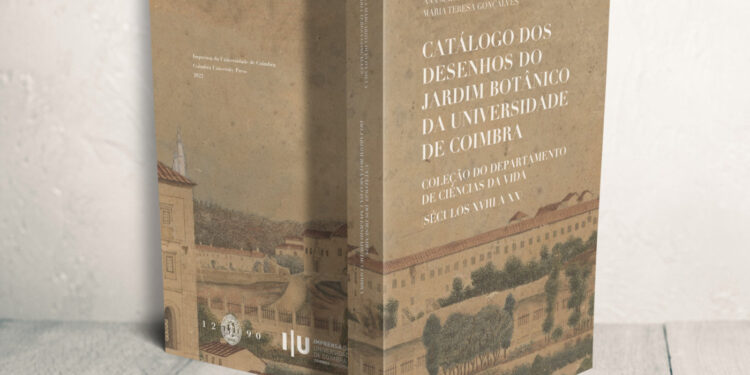 DESCOBERTA: Jardim Botânico de Coimbra