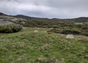 Impacto do aquecimento global na Serra da Estrela