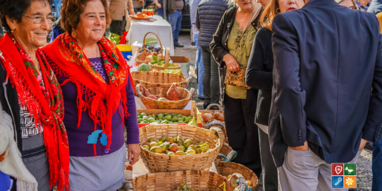 Tradições de Raízes históricas em Vila Verde