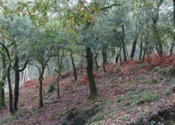 UC: Estudo sobre conservação da natureza do solo