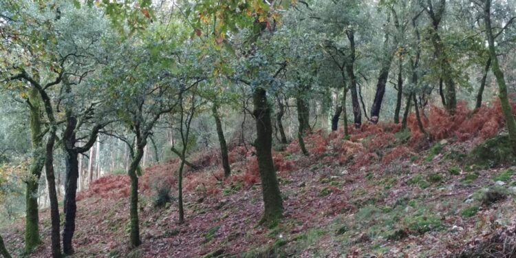 UC: Estudo sobre conservação da natureza do solo