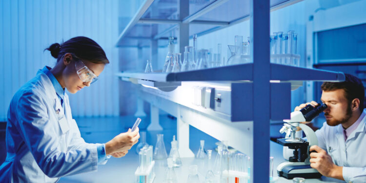 Investigadora Da UC Recebe Prémio Maria de Sousa