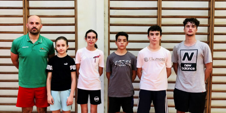 Jing-She representada na Seleção