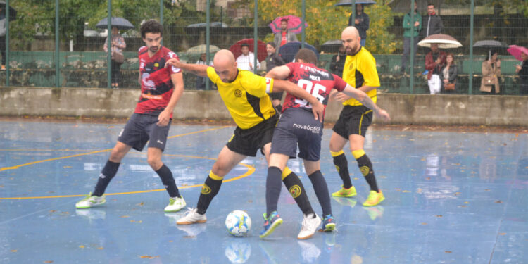 Resultados das competições da AFSA