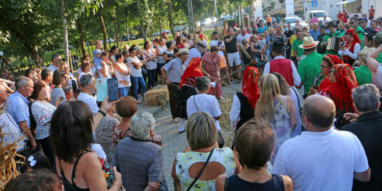 VILA VERDE: Rota das Colheitas Reforça Economia Local 