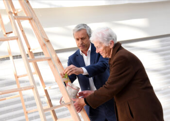 Árvore de Natal da Praça