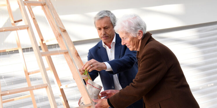 Árvore de Natal da Praça