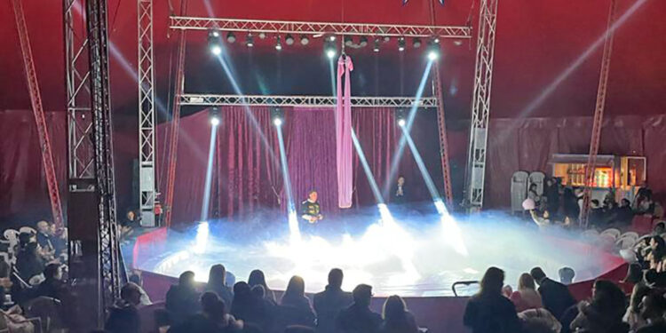 Vila Verde: Animação Natalícia