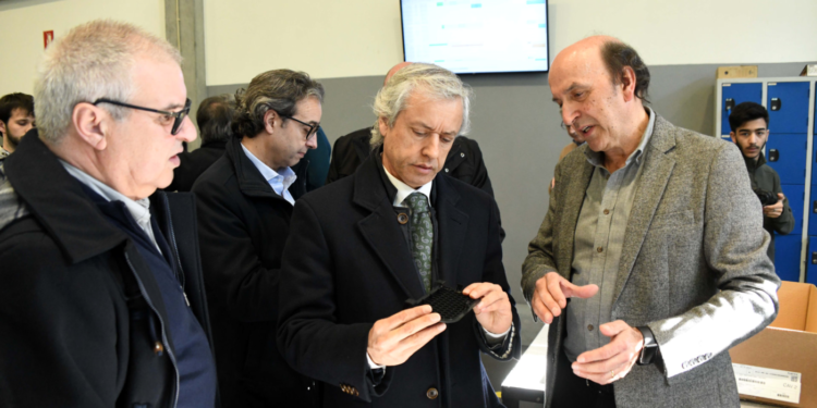 Caroço de azeitona transformado