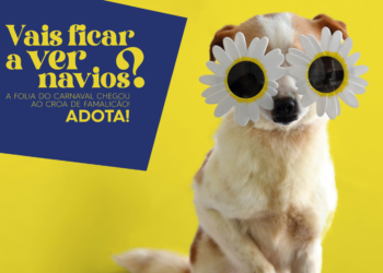 FAMALICÃO: CARNAVAL & COMPANHIA