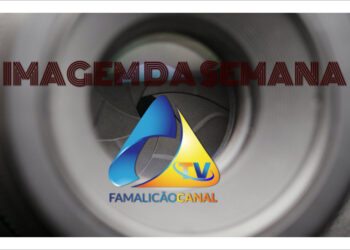 IMAGEM DA SEMANA