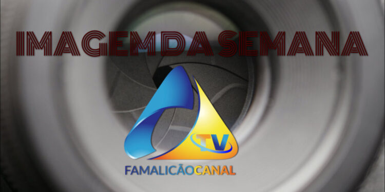 IMAGEM DA SEMANA
