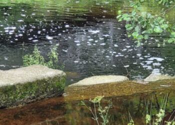 Ribeiro de Sá, em Vouzela