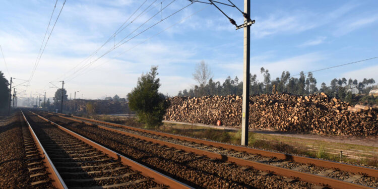 Lousado: Município de Famalicão