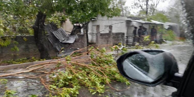 ÚLTIMA HORA, EXCLUSIVO  FAMALICÃO  CANAL