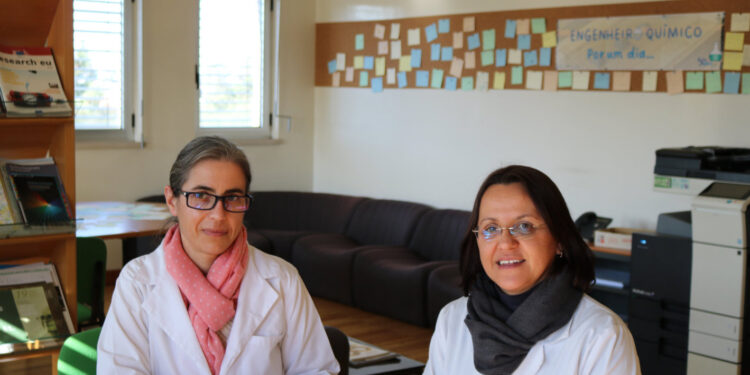 UC desenvolve saco biodegradável