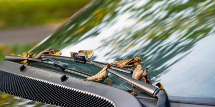 Selos a colocar no seu carro