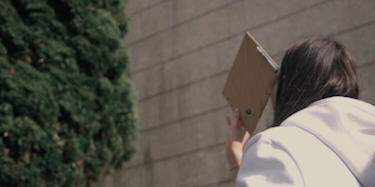 ENSINO: AULA DIFERENTE