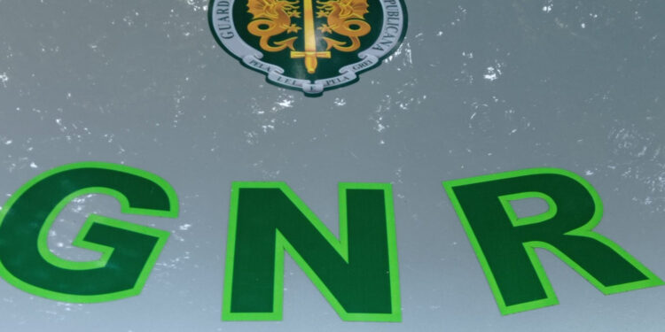 BRAGA: Ação de Fiscalização