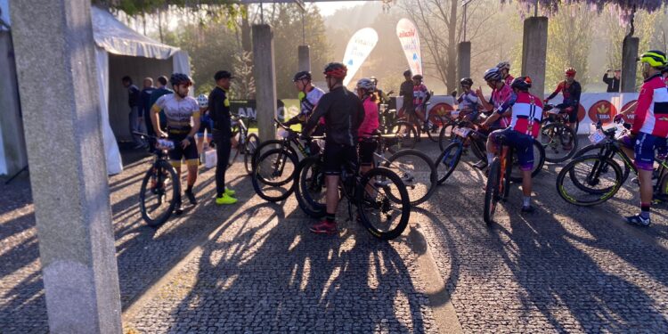 Aventura sobre rodas