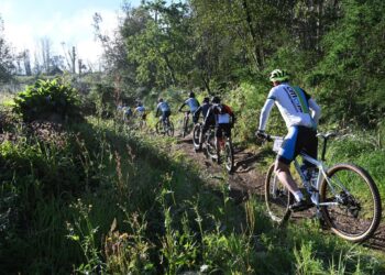 Aventura sobre rodas