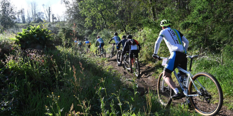 Aventura sobre rodas