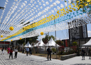 Flor é rainha em Famalicão