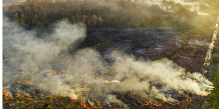 ESMERIZ: Incêndio Florestal