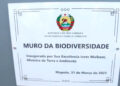 MURO  DA  BIO-DIVERSIDADE, em Maputo