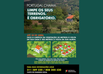 Alerta para Limpeza de Terrenos