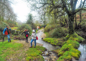 VILA VERDE: Convida a Caminhar