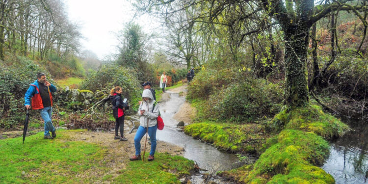 VILA VERDE: Convida a Caminhar